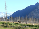 View of Alaska